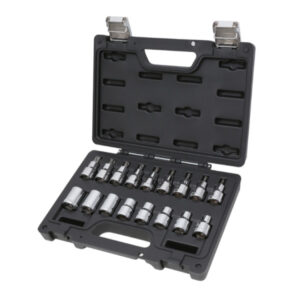 Kunststof koffer met assortiment van 17 Torx® doppen BW 923E-FTX/C17